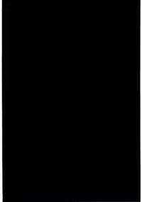 (C67) [BASIC CHAMPIONS (Yamada Tahichi)] TH-808