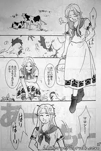 X The Dark Legend of Zelda