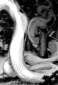 [Jyoka] Hachishaku Hachiwa Keraku Meguri - Igyou Kaikitan Ch. 1-5 [English] [Mongolfier]