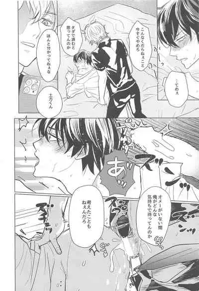 (Kabukichou Daishuukai 9) [Kaisendon!, 5SQ (Shitagokoro Poyo, Miwo)] Hamedori! (Gintama)