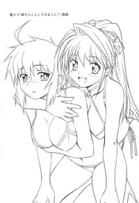 (C75) [Irotenshi (Shironeko Sanbou] Aneshita!! Tomoe (Nee, chanto shiyouyo!)