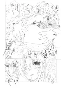 (COMIC1☆02) [UROBOROS (Various)] MAD TEA PARTY (Queen's Blade)