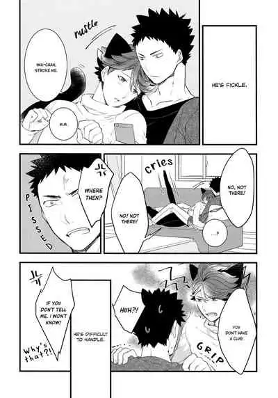 (C93) [Rototika (Kamishi Yue)] Iwa-chan no Neko ni Naritai 2 (Haikyuu!!) [English]