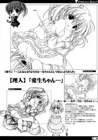 (C68) [StrayMoon (Miyama Zero)] Princess Brave! Jantaku no Kishi - Settei Gengashuu