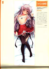 Dakimakura Cover Gashuu Bishoujo Game Hen