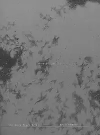 [Precious HEART] Watashi no Hontou no Kimochi (Fate/Stay Night)