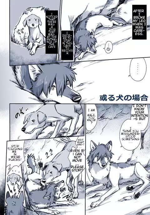 A certain dog's situation