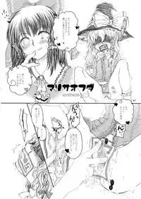 (C74) [Shoujo Zukin (Hatomugi Munmun)] Marecollect (Touhou Project)