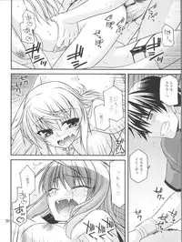(COMIC1☆5) [CRIMSON GROUND (Miyashiro Sousuke)] Schwarzer Rafale (Infinite Stratos)