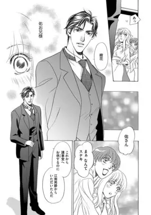 Imouto Mekake ~Onii-sama, Mou Yurushite~ <2>