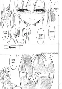 (C71) [EINSATZ GRUPPE (Charlie Nishinaka)] PRISONER 9 Pet (Gundam SEED Destiny) [English] [YQII]