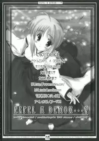 (C70) [Moehina Kagaku (Hinamatsuri Touko)] EXPEL A DEMON...? (Fate/stay night)