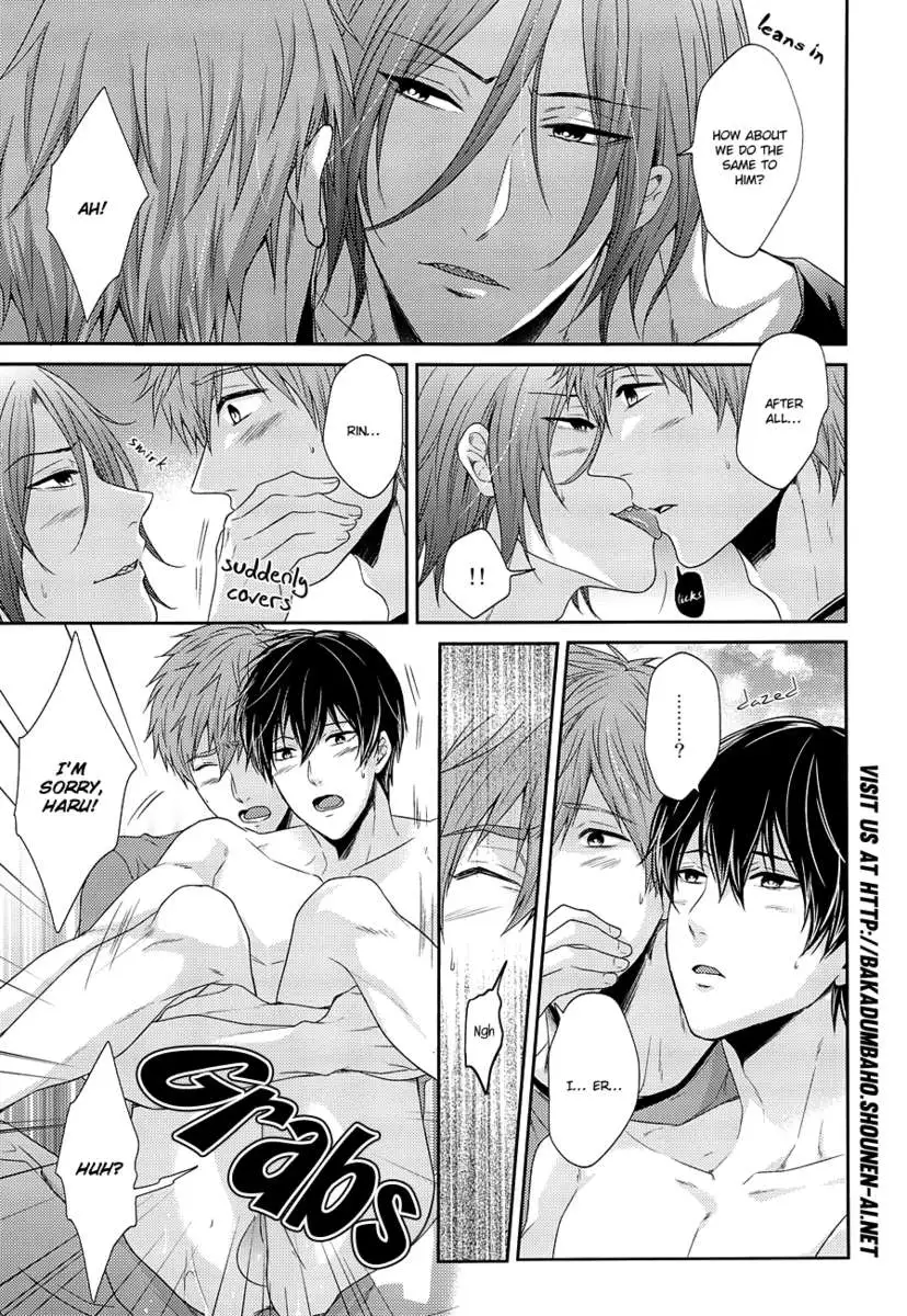 Please Forgive This Bad Dolphin