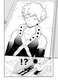 (SPARK12) [Bakuchi Jinsei SP (Satsuki Fumi)] PLAY DOLLS (Boku no Hero Academia)