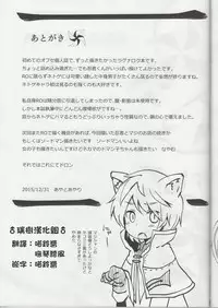 (C89) [IrodoRIP (Ayato Ayari)] Shounen Ninja Koushoku Kitan (Ragnarok Online) [Chinese] [瑞树汉化组]