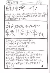 (C83) [Arikui Mcqueen (Matsurioka Hideyuki)] Midorizuma nao 29-sai Sekirara Fuufu Seikatsu (Smile PreCure!)