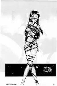 [ChaChaCha Brothers & Rupinasu Touzokudan] Gin Rei Hon 2 (Giant Robo)