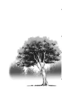 (C85) [Nijiiro Denryuu (Nijiden)] Yakumory (Touhou Project)