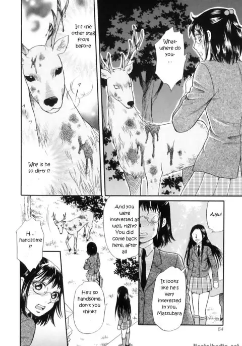 Divine Deer Forest ~Girls' Whereabouts~