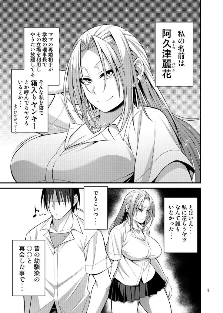 Hakoiri Yankee no Hon