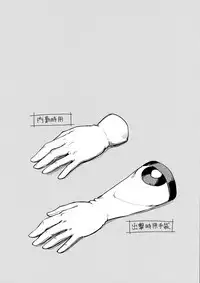 Jenova Collection JenoColle