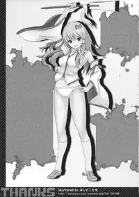 (COMIC1☆5) [Usubeniya (Usubeni Sakurako)] Shinkou no Tamamono (Touhou Project)