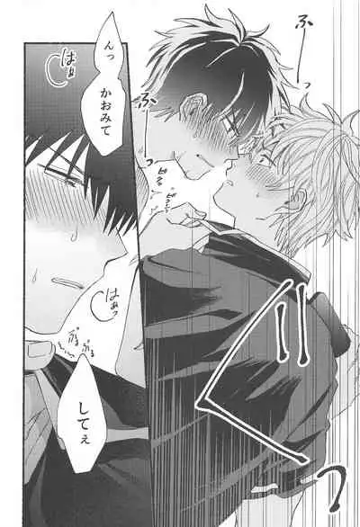 (Kabukichou Daishuukai 9) [Kaisendon!, 5SQ (Shitagokoro Poyo, Miwo)] Hamedori! (Gintama)