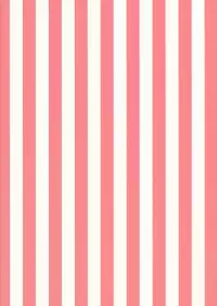 (SC2018 Spring) [Aihara Hanten (Aihara Shouta)] Zuihou-chan to Ecchi na Osake de Parynigh (Kantai Collection -KanColle-) [Chinese] [山樱汉化]