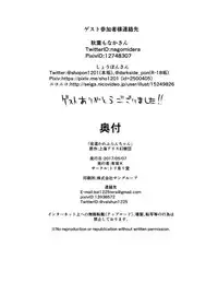 [Toriaridou (Arisaka K)] Yobaware Flan-chan (Touhou Project) [Digital]