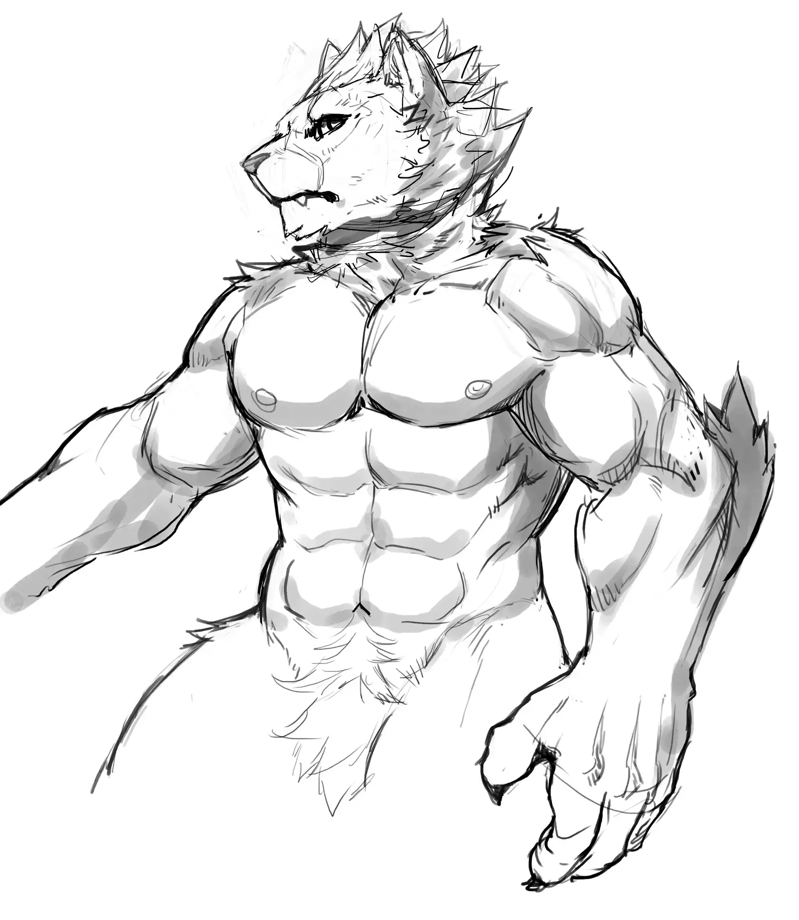 Nekojishi February 2018 Package Reward