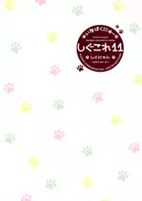 [Shigunyan (Shigunyan)] Shigukore 11 (Touhou Project)