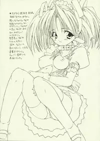 [Chokudoukan (Hormone Koijirou, Marcy Dog)] Sokkyuuou 2000