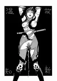 [From Japan (Aki Kyouma)] FIGHTERS GIGAMIX FGM Vol.17 (Dead or Alive, SOULCALIBUR)