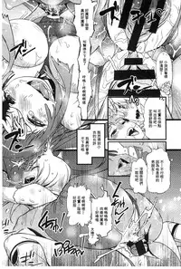 [Kishinosato Satoshi] Hame Sakari | 交合發情期 [Chinese]