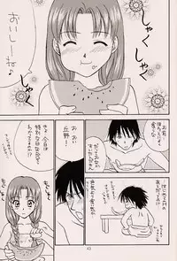 (C56) [ZOKU (Nikaidou Mitsuki)] Water Melon (True Love Story 2)