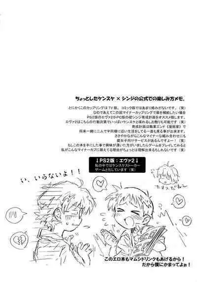 Juunen Goshi no Ikari Shinji Hokan Keikaku