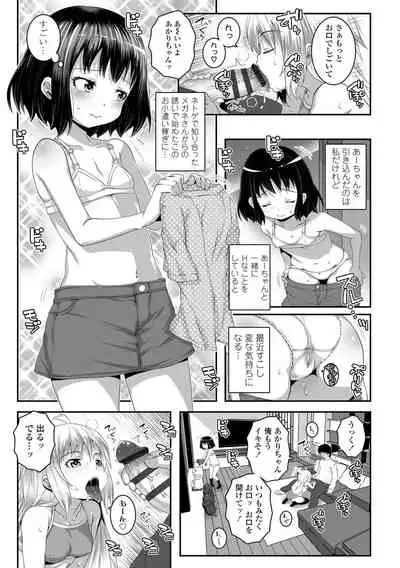 Soutaisei Virgin Theory
