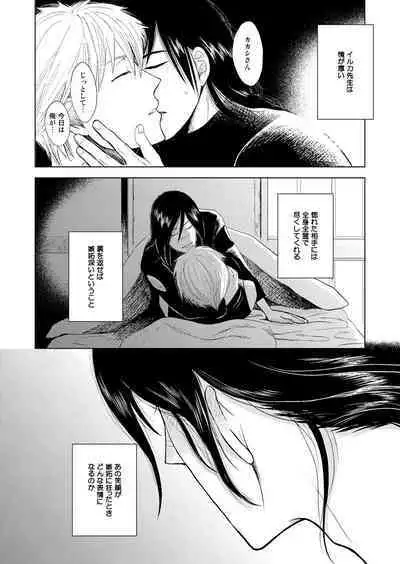 Konoha Kinboshi Doori no Shoukei