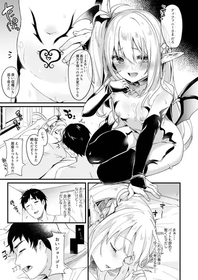 Boku wa Chiisana Succubus no Shimobe Soushuuhen
