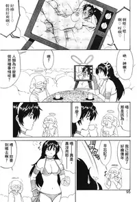 [Trochilidae] fighting queen 3 [Chiense]