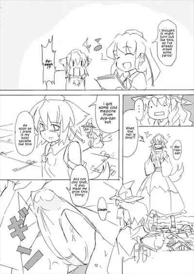 (Reitaisai 14) [TEDDY-PLAZA (Seo Tatsuya)] Shameimaru Kyouju no Hiritsuteki Aijou (Touhou Project) [English]