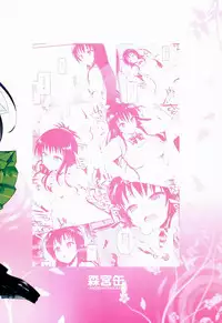 (C86) [Morimiyakan (Morimiya Masayuki)] Hana no Toriko (To LOVE-Ru)