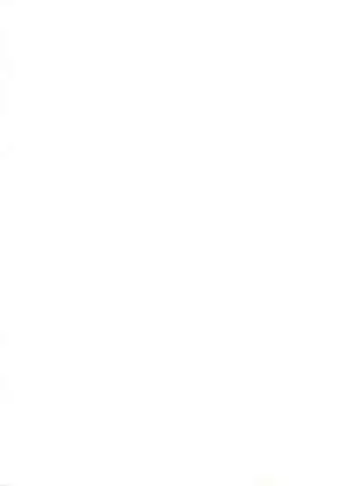 Cattleya Nee-chan Daikatsuyaku!!