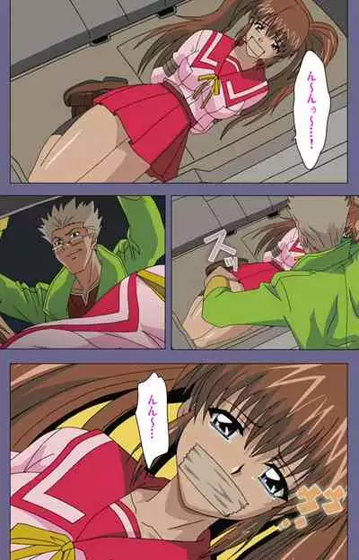 [BLACK PACKAGE TRY] [Full Color seijin ban] Ryoujoku no rensa ~ fueru emome to kasoku suru akugyō ~ Kanzenban