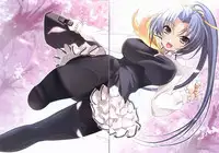 Sakura Sakura Visual Fan Book