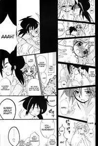 [Sesamin] an (Princess Tutu) [English] [Tigoris Translates]