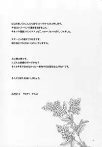 (C77) [Uminari (Narumi)] Tadashii Nezumitori no Tsukaikata. (Touhou Project)