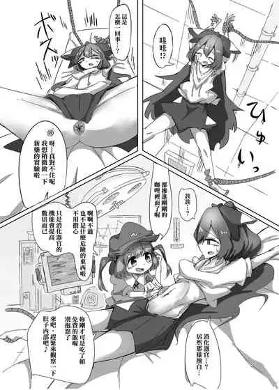 Touhou Scatology Goudoushi "Benjo!!!!!!!!"