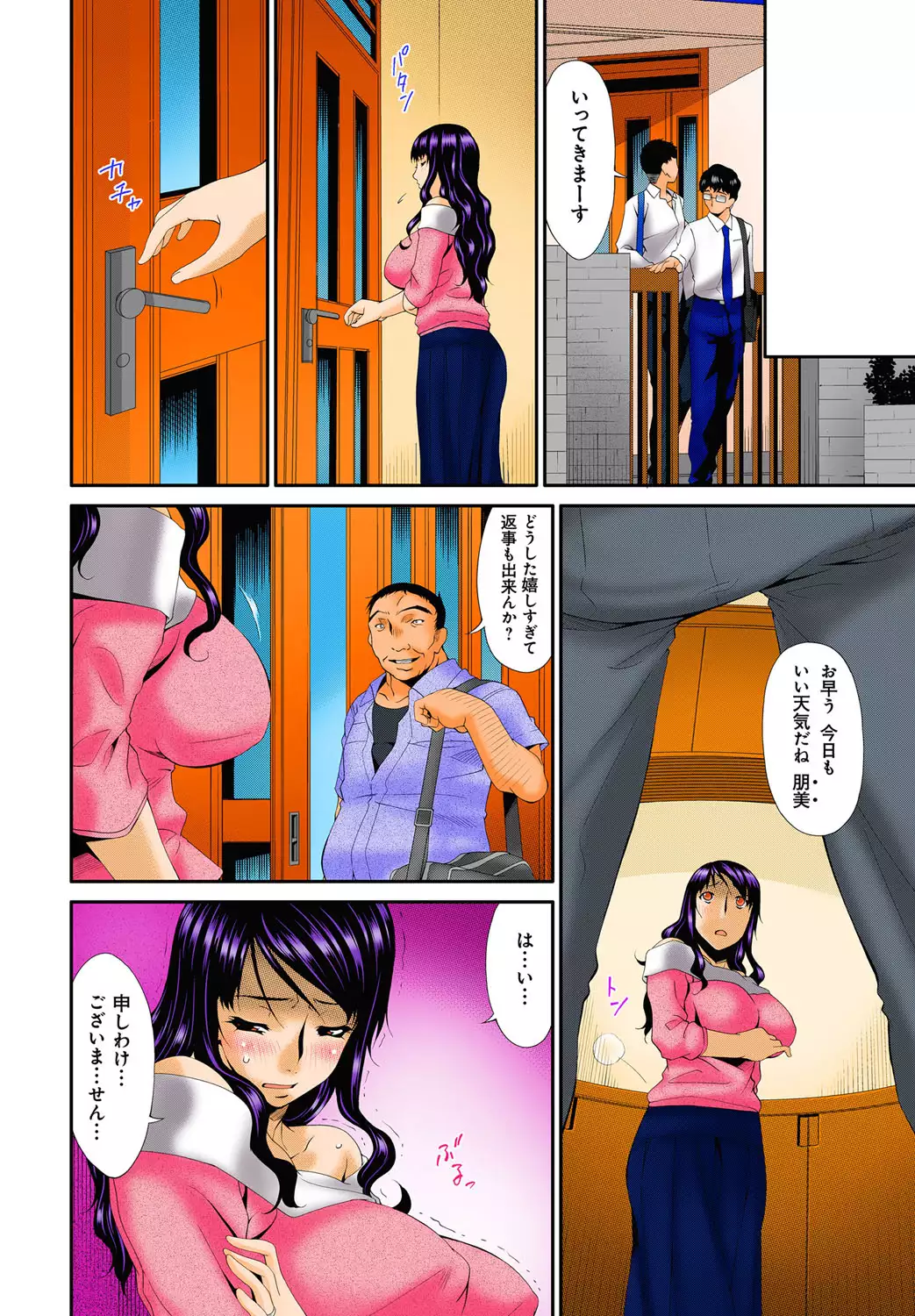 Hametorare full color