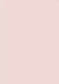 [Shizaki Masayuki] Abyssinian